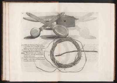 Illustrasjon fra reisen til øya Madera, Barbados... bind 2, 1815 av Hans after Sloane
