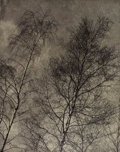 sjarmen deres er skrevet langs en flytende himmel, Robert Bridges (s/hvitt bilde) av Harold Burdekin