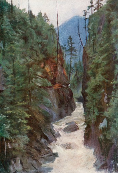 Capilano Canyon, nær North Vancouver av Harold Copping