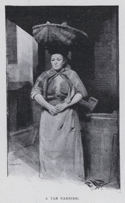 En brunfarge (s/hv-bilde) av Harold Hume Piffard