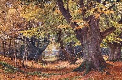  av Harold Sutton Palmer