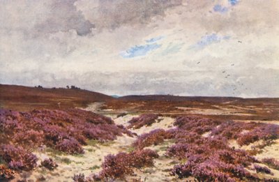  av Harold Sutton Palmer