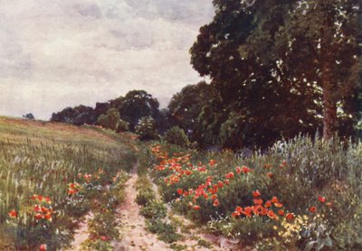  av Harold Sutton Palmer