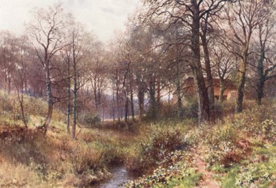  av Harold Sutton Palmer