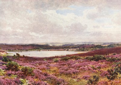  av Harold Sutton Palmer