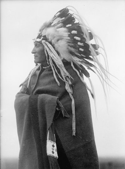 Lazy Boy, indianerhøvding av Harris & Ewing