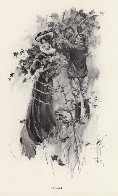 Kvinne plukker blomster med en mannlig beundrer (litho) av Harrison Fisher