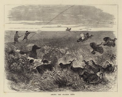 Blant præriehønene av Harrison William Weir