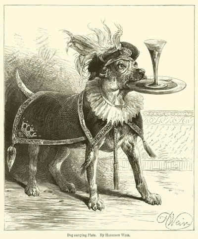 Hundebærende plate av Harrison William Weir