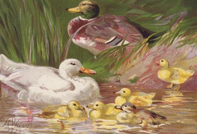  av Harrison William Weir