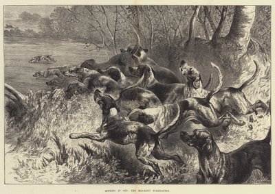 Treffer den, Mid-Kent Staghounds av Harrison William Weir