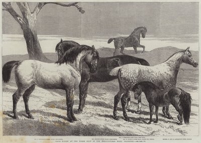 Premiehester på Horse Show i Agricultural Hall, Islington av Harrison William Weir