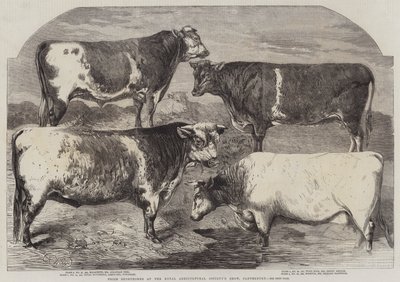 Pris korthorn på Royal Agricultural Society's Show, Canterbury av Harrison William Weir