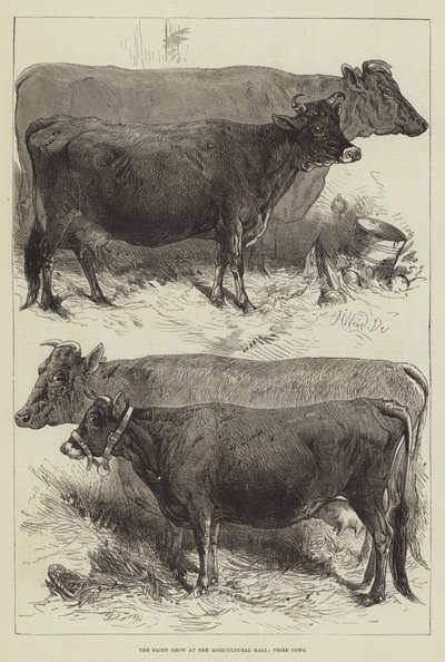 Meieriutstillingen på Landbrukshallen, Premiekyr av Harrison William Weir