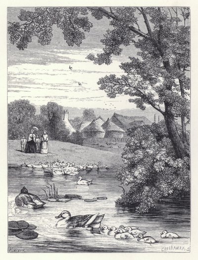 Andedammen (gravering) av Harrison William Weir