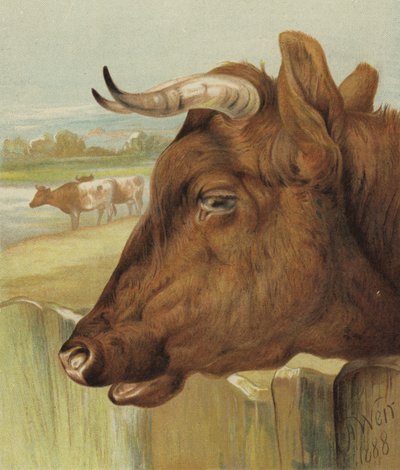 Barnehagens venn (chromolitho) av Harrison William Weir