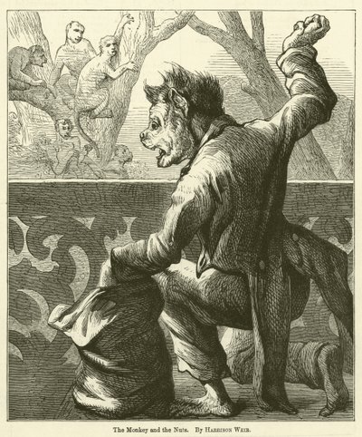 Apen og nøttene av Harrison William Weir