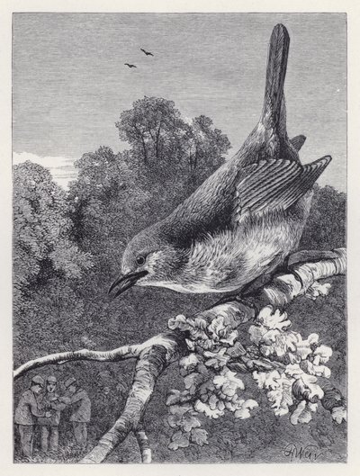 The Robin Watching the Boys with the Nest (gravering) av Harrison William Weir