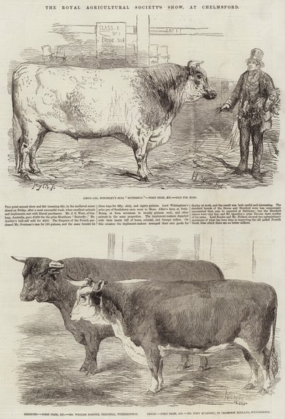 Royal Agricultural Society's Show, på Chelmsford av Harrison William Weir