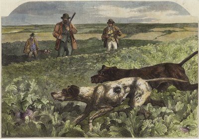 Den første september av Harrison William Weir