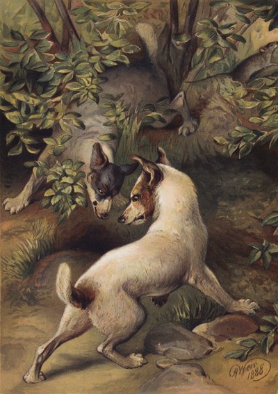 To hunder prøver å nå en vannbasseng for å drikke (chromolitho) av Harrison William Weir