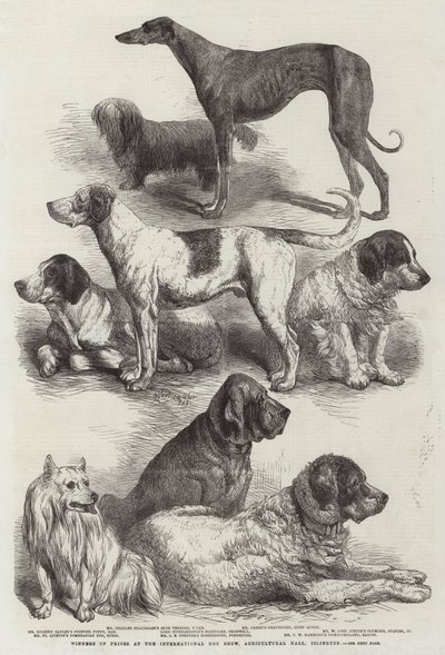 Vinnere av priser på International Dog Show, Agricultural Hall, Islington av Harrison William Weir