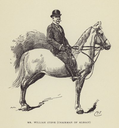 Mr William Stone, styreleder i Albany av Harry Furniss