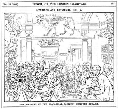 The Meeting of the Royal Zoological Society, Hanover Square, London, 1885 av Harry Furniss