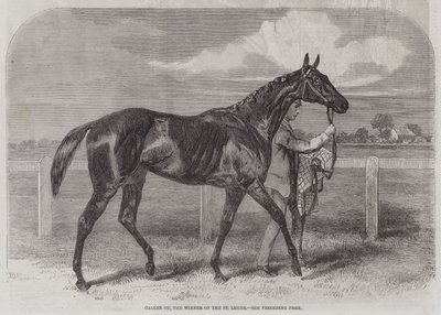 Ringer Ou, vinneren av St Leger av Harry Hall