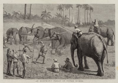 En elefantpui i Øvre Burma av Harry Hamilton Johnston