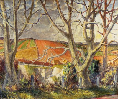 Dorset Chalk Quarry (olje på lerret) av Harry Morley