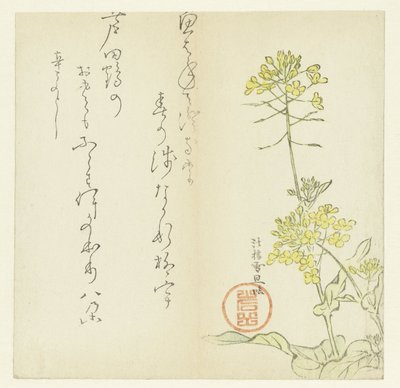 Blomster av Hasegawa Settan