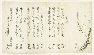 Plommetre av Hasegawa Settan
