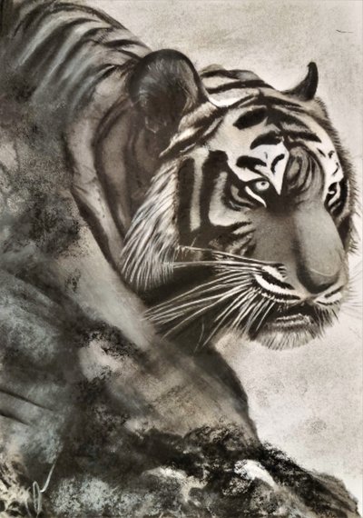 Tigre på jakt av HaskellArt