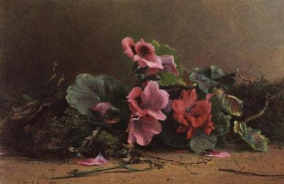 En studie av geranier av Hector Caffieri