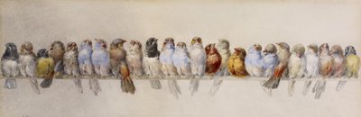 A Perch of Birds, ca. 1880 (akvarell og grafitt på papir) av Hector Giacomelli