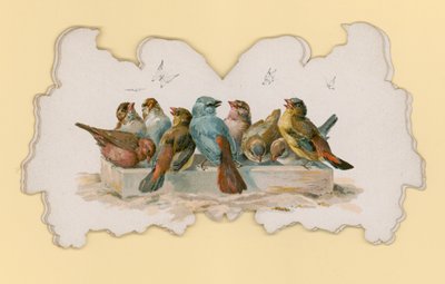 Fugler (farge litho) av Hector Giacomelli