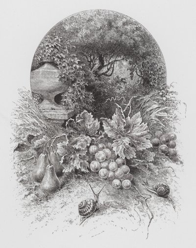 Insektet: snegler (gravering) av Hector Giacomelli