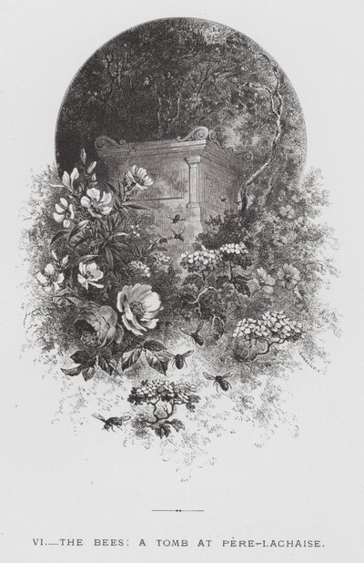 Insektet: Biene, en grav ved Pere-Lachaise (gravering) av Hector Giacomelli