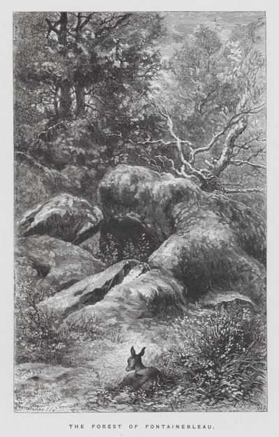 Insektet: Fontainebleau-skogen (gravering) av Hector Giacomelli