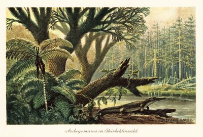 Archegosaurus decheni ved en elv i en urjungel. av Heinrich Harder