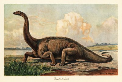 Utdødd Diplodocus longus på slettene. av Heinrich Harder