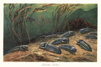 Utdødde trilobitter på havbunnen. av Heinrich Harder