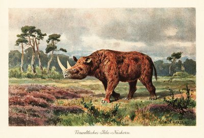Utdødd ullaktig neshorn på steppene. av Heinrich Harder