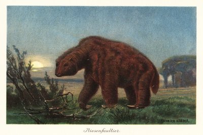 Megatherium americanum in the moonlight.    1401011   no       norwegian Successfully Translated  Original: Entrance to the Avenue from Clare Hall Piece, Cambridge Translat: Entrance to the Avenue from Clare Hall Piece, Cambridge 1288937 no norwegian Succe av Heinrich Harder