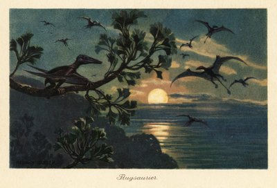 Rhamphorhynchus pterosaurs som flyr i måneskinnet. av Heinrich Harder