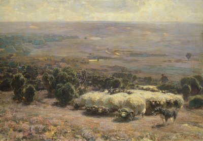 En flokk med sauer i Luneburger Heide, 1902 av Heinrich Johann von Zugel