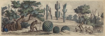 Colorado (farget gravering) av Heinrich Leutemann
