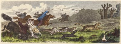 Jakt på puma med lasso i Brasil (farget gravering) av Heinrich Leutemann