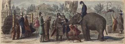 I en zoologisk hage i Tyskland (farget gravering) av Heinrich Leutemann